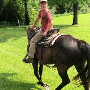 Meet your Posher, Shelly